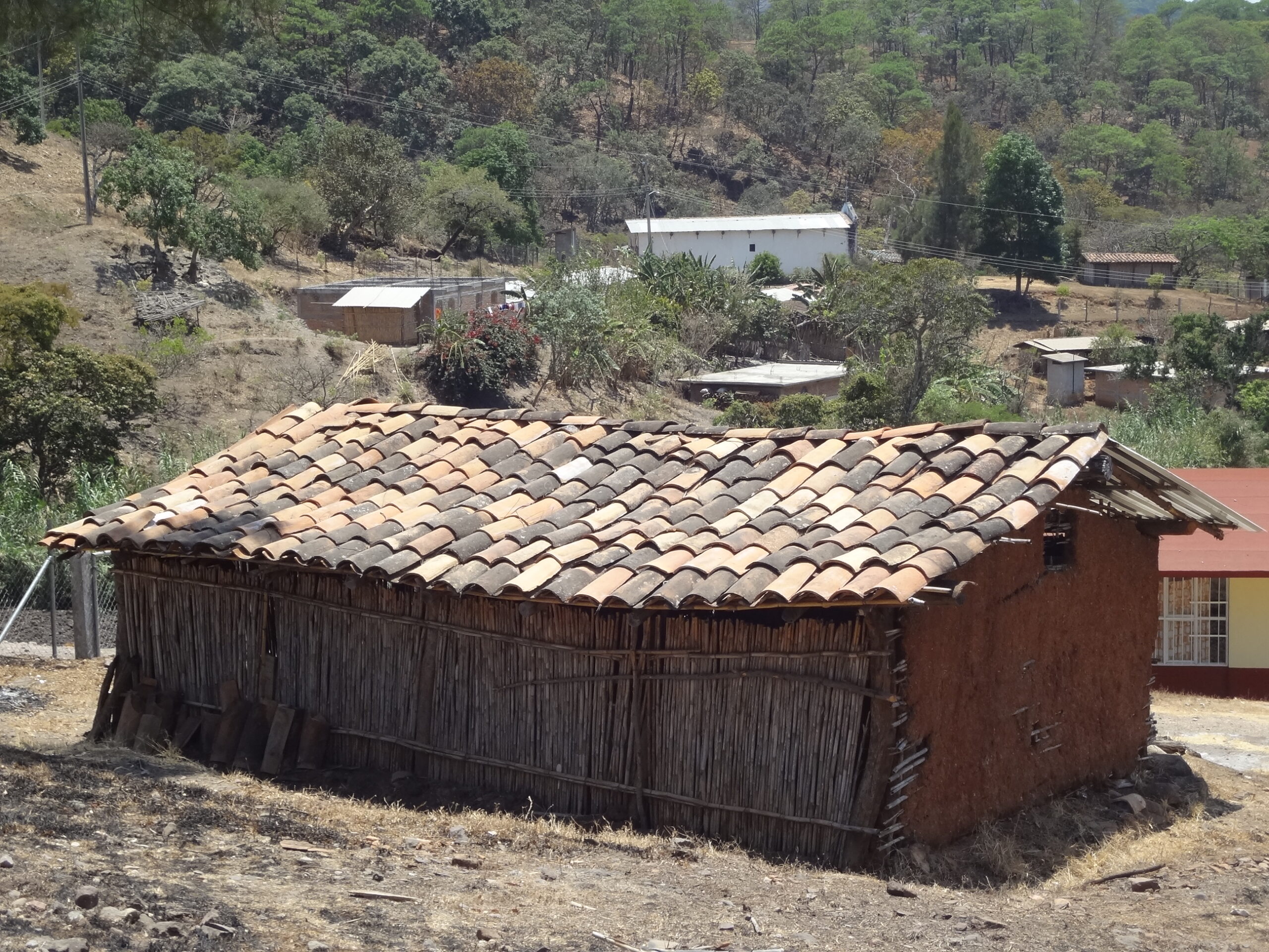Kintankgachaxa’ / Casas Hueso de Milpa